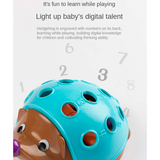 Montessori Hedgehog Toys Baby Concentration Training Early Education Toys - View 4