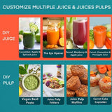 800W Juicer Stainless Steel Juice Maker - View 7