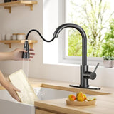 Kitchen Faucet with Pull Down Sprayer Single Handle Retractable Sink Faucet - View 3